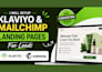 setup klaviyo and mailchimp landing pages for leads